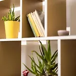 Apartment Comfy